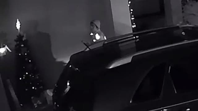 Florida deputies searching for deliveryman caught on video stealing back package he dropped off