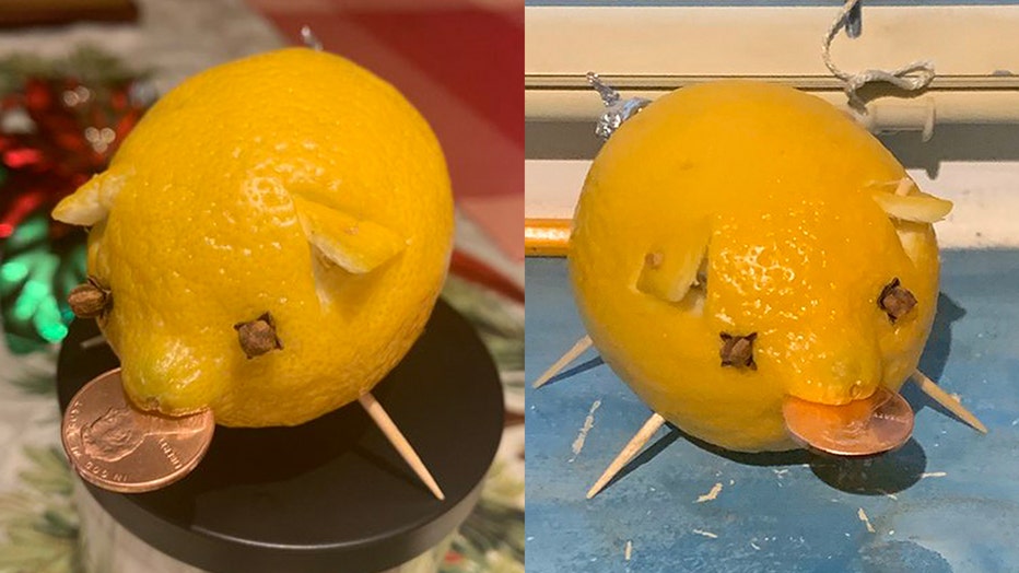 lemon-pig.jpg