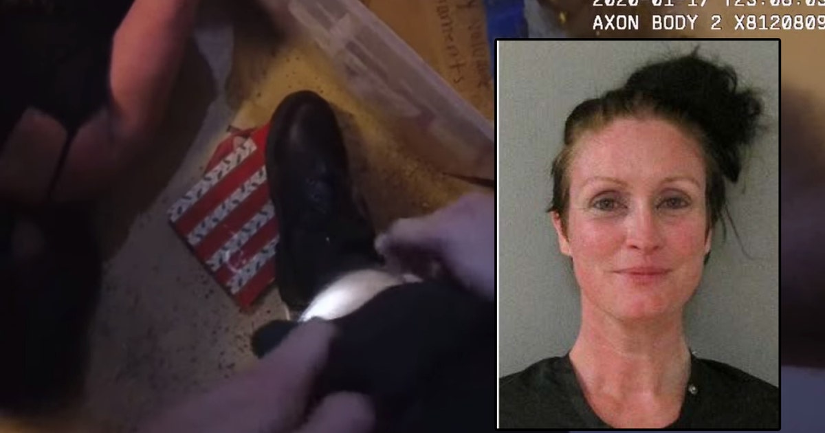 Woman accused of biting Flagler deputy facing felony charges | FOX 35 ...