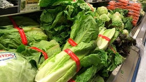 Romaine lettuce E. coli outbreaks over, product safe to eat again, FDA says