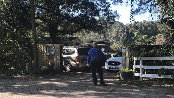 16 animals in need of 'immediate medical care' removed from DeLand sanctuary, county says