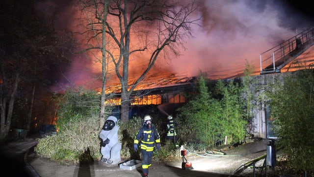 Fire kills more than 30 animals at zoo in western Germany, may have been caused by new year celebrations