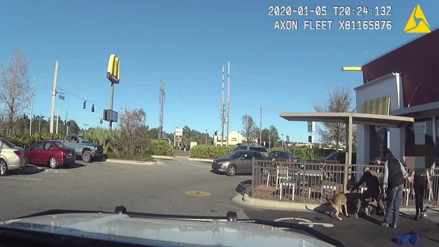 Deputies: K-9 breaks up fight at Florida McDonald's, 3 arrested