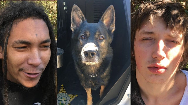 K-9 tracks down suspects accused of running down, injuring child in Lake County