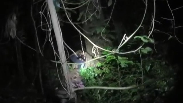 Bodycam video shows Florida K-9 helping deputies catch a suspect in the woods