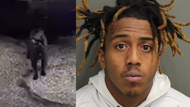 Deputies: Man arrested after flinging cat into the air by its tail