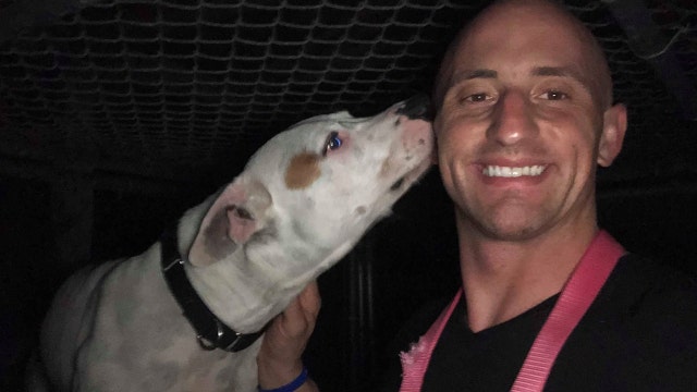 Man stays at Florida animal shelter for ten nights to raise awareness