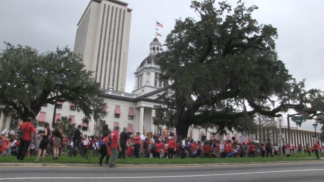 Educators march on Tallahassee, demanding investment in public education