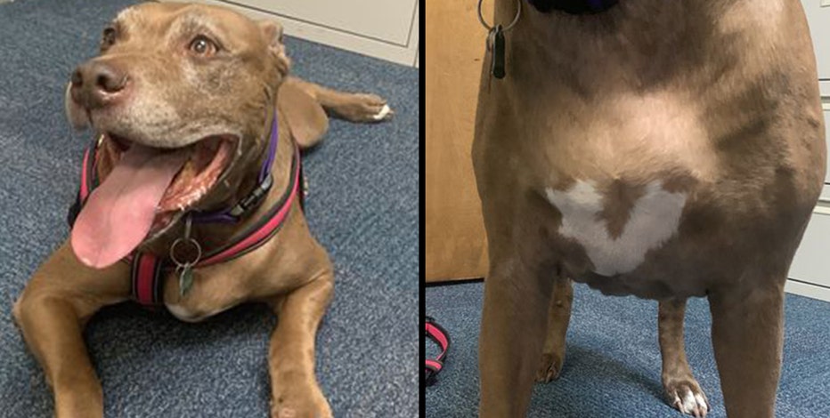 ORLANDO-SENTINEL-KATHLEEN-