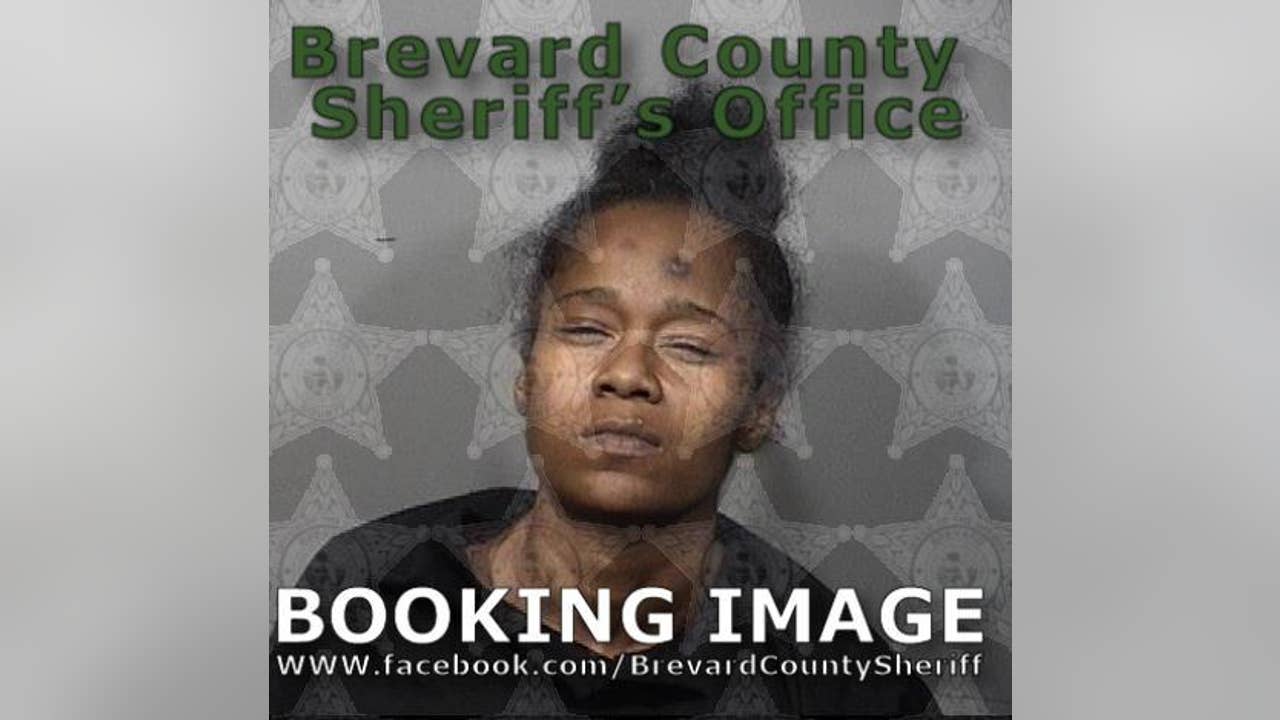 Florida mom arrested after child is found wandering in traffic, police ...