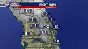 Foggy Tuesday morning commute