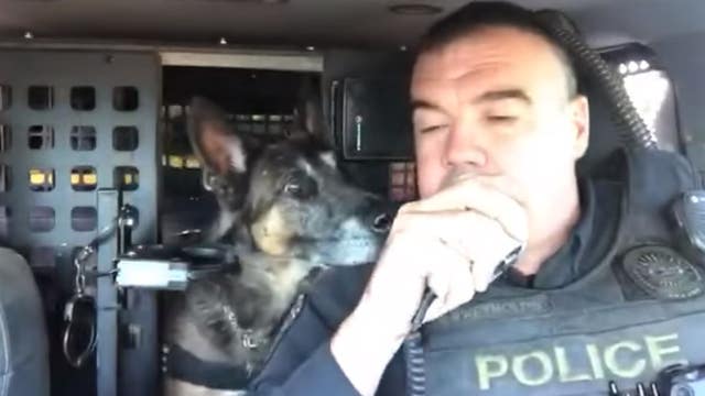 Oro Valley Police K-9 retires after 7 years of service