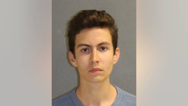 Deputies: Deltona teen arrested for killing family dog, beating another because he 'was angry with his parents'