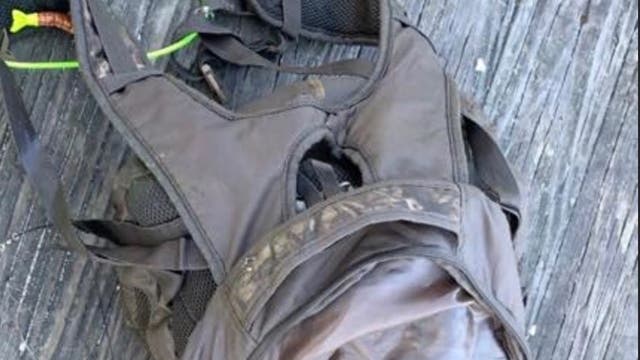 Emaciated dog found in backpack weighed down with dumbbells in water