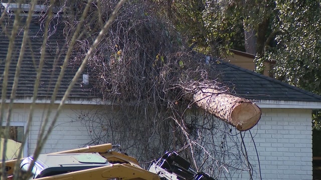 Tree crashes down on DeBary home with residents inside