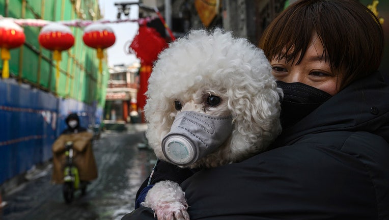 Concern In China As Mystery Virus Spreads