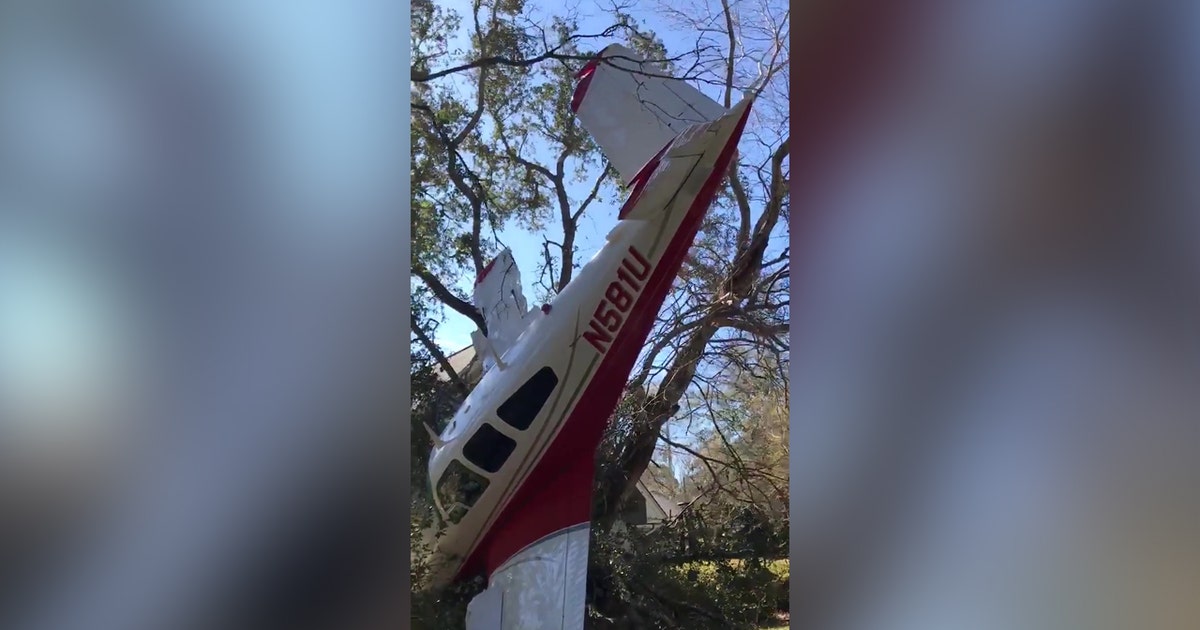 2 men, dog escape Florida plane crash unharmed | FOX 35 Orlando