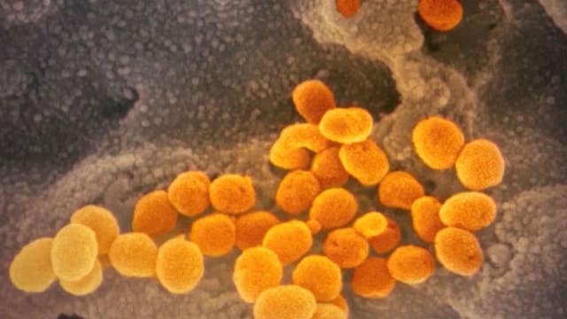 If coronavirus hits your family you'll need to have these documents and this information ready