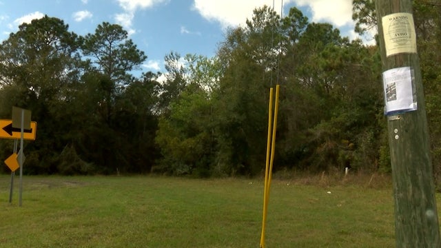 Human remains found near I-4 in DeLand investigated as homicide case