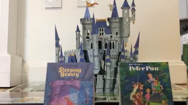 Disappointed would-be Disney World visitor stages homespun parade