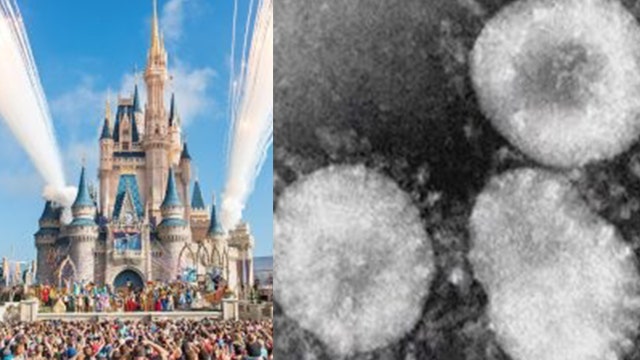 Disney World confirms 'stringent sanitation procedures' amid coronavirus