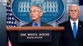 Fauci ‘can’t guarantee’ physical vote in November will be safe