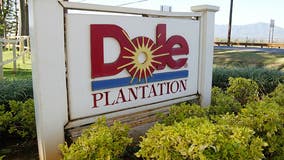 Dole donates 2 million pounds in fresh produce to help communities in need