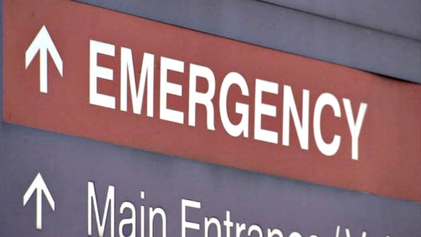 fauci predicts regional spikes this fall if covid-19 vaccination