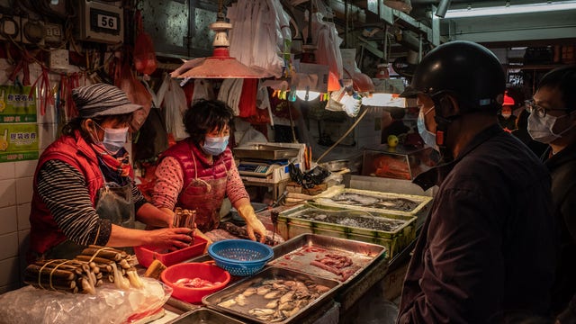 Next coronavirus 'right around the corner' if wet markets don't close, animal rights groups, politicians warn