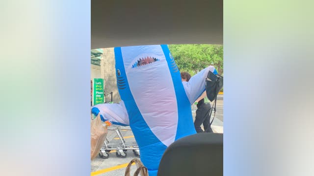 Woman dressed in shark costume spotted shopping at Publix