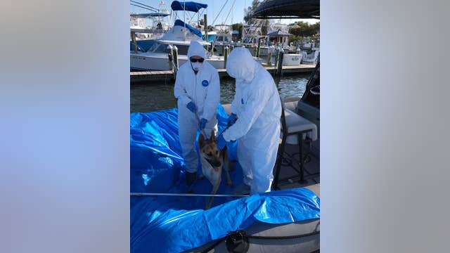 Florida deputies rescue dog left on boat after owner is hospitalized with coronavirus symptoms