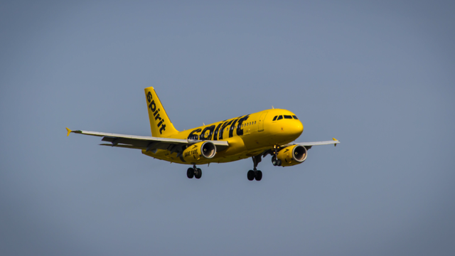 Rebuilding airline industry could be long trek