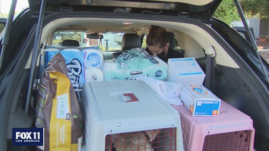 Animal rescue group helps pet owners affected by pandemic