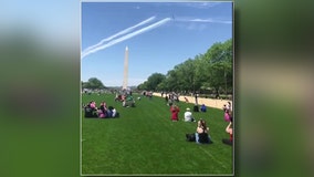 Crowd cheers for Washington D.C. flyover to praise essential workers