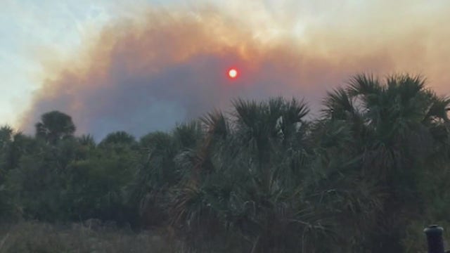 'Fox Fire' in Titusville burns at least 750 acres, Florida Forest Service says