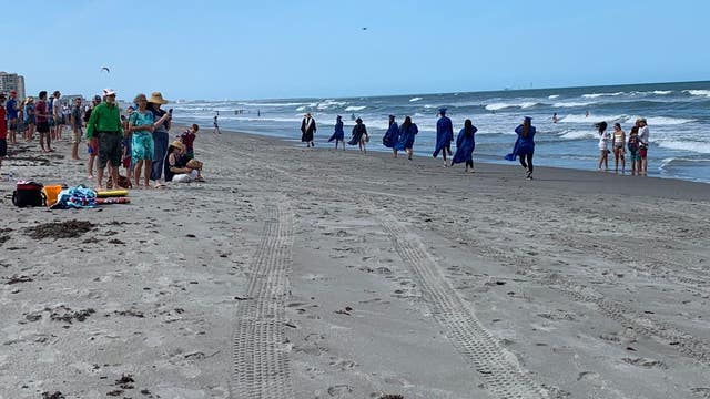 Cocoa Beach seniors walk down the beach in caps and gowns to celebrate graduation