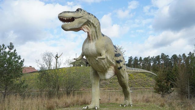 Dinosaur World attraction reopens Thursday