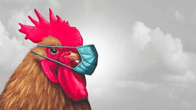 Louisiana cops search for 'aggressive chicken' breaking social distancing, terrorizing bank patrons at ATM