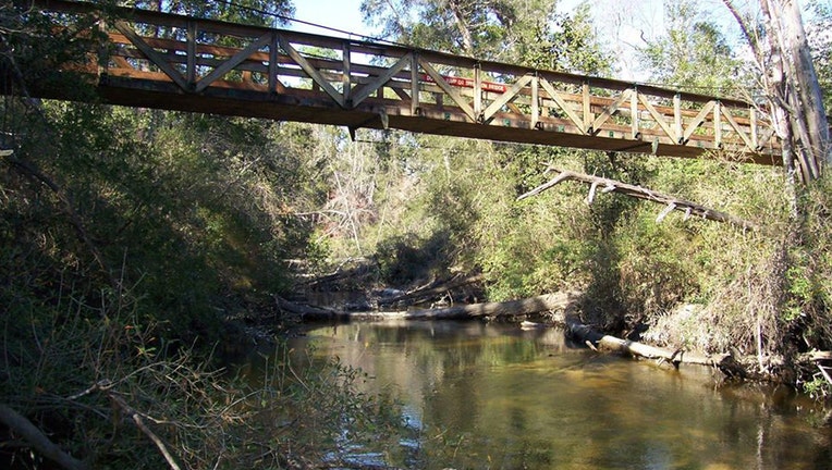 blackwater river state forest