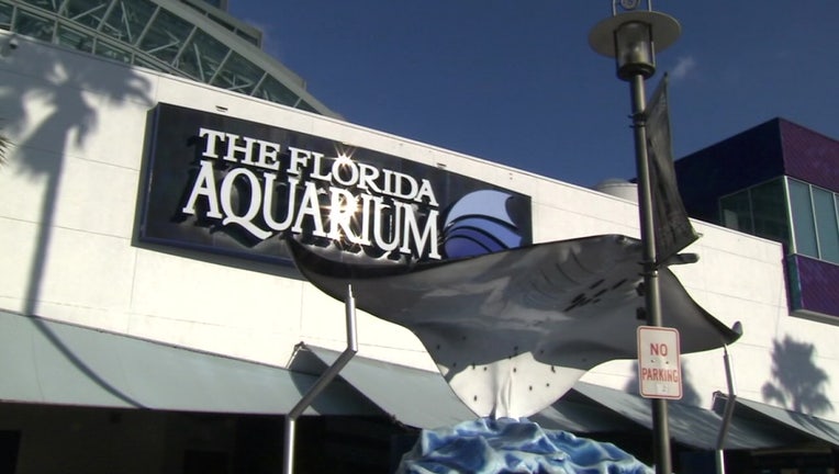 d08e6c89-florida aquarium