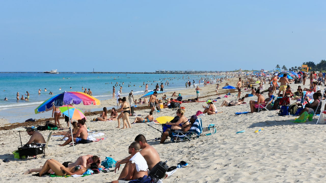 Beachgoers On Alert After 2 People Including Child Bitten By Sharks In New Smyrna Beach Beachgoers On Alert After 2 People Including Child Bitten By Sharks In New Smyrna Beach