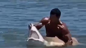 Swimmer caught on camera catching shark off Delaware coast