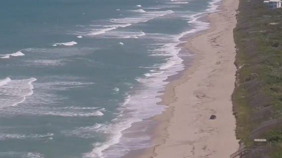 Brevard County officials looking to lure tourists back after $1 billion loss during COVID-19 pandemic