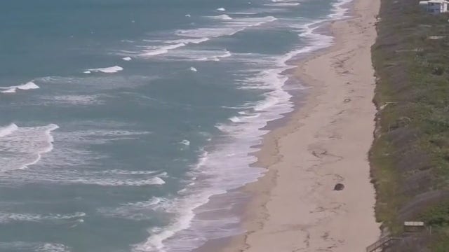 Brevard County officials looking to lure tourists back after $1 billion loss during COVID-19 pandemic