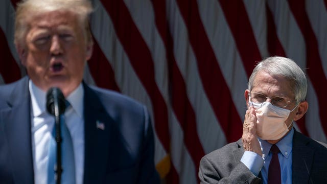 Fauci says his meetings with Trump have 'dramatically decreased,' despite ongoing pandemic