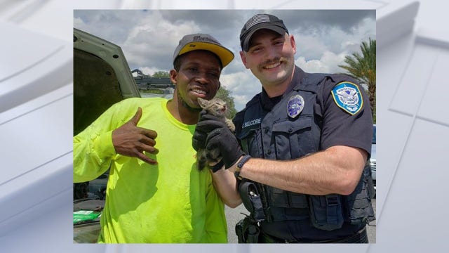 Good Samaritan, Winter Park police officers rescue kitten trapped in car engine