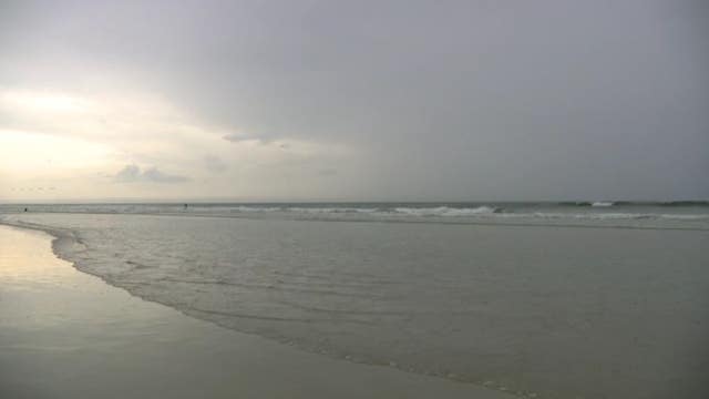 Experts say COVID-19 is leading to less shark bites