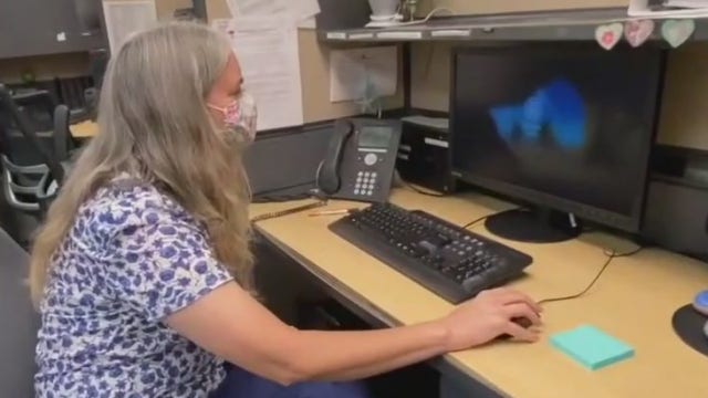 'People are worried': Calls to 211 help line double since the start of COVID-19 pandemic