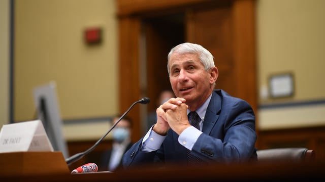 'I don’t judge one crowd vs. another': Fauci clashes with GOP lawmaker over protests during coronavirus