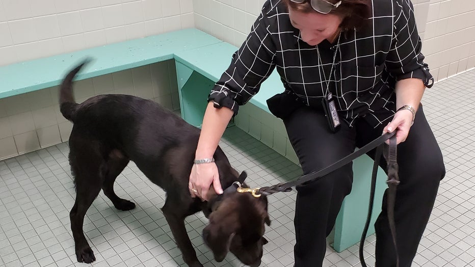 k9 zen time k9 zen time